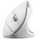 Безпровідна мишка Verto Ergonomic Wireless Mouse -  White Verto Ergonomic W Mouse White (25132)