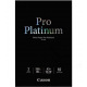 Бумага Canon A3+ Pro Platinum Photo Paper PT-101, 10л (2768B018)