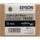 Картридж Epson T8509 Light Light Black (C13T850900)