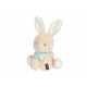 Мягкая игрушка Kaloo Les Amis Кролик кремовий 25 см в коробке  (K963119)