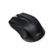 Мишка Acer 2.4G Wireless Optical Mouse (NP.MCE11.00T)