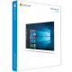 ПО Microsoft Windows 10 Home 32-bit/64-bit English USB P2 (HAJ-00054)