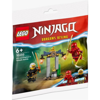 Конструктор LEGO recruitment Ninjago Битва за Храм Кая и Раптона (30650)