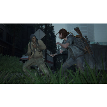Игра PS4 The Last of Us Part II [PS4, Russian version] (9330707)