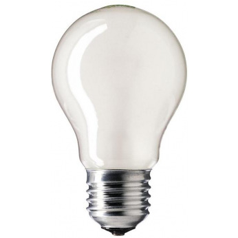 Лампа розжарювання Philips E27 100W 230V A55 FR 1CT/12X10 Stan (926000007980)