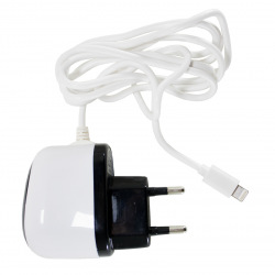 Сетевое зарядное устройство 1A Lightning для iPhone (DV00DV5040)