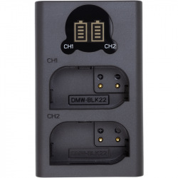 Зарядное устройство с дисплеем PowerPlant Panasonic DL-BLK22 для двух аккумуляторов (CH980376)
