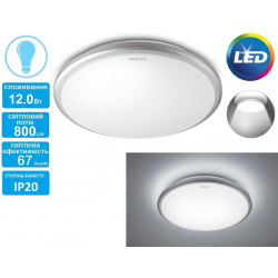 Светильник потолочный Philips 31814 LED 12W 6500K Grey (915004487101)