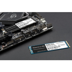 накопичувач M.2 256GB MP33, NVMe, PCIe TM8FP6256G0C101 (TM8FP6256G0C101)