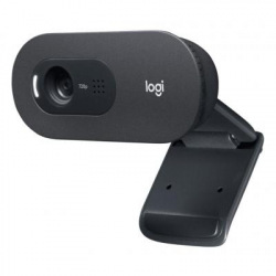 Веб-камера Logitech C505 (960-001364) (960-001364)