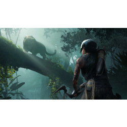 Програмний продукт на BD диску Shadow of the Tomb Raider Standard Edition [PS4, Russian version] (SSHTR4RU01)