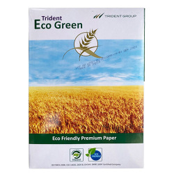 Папір Trident Eco Green 75g/m2, A4, 500л, class C,  білизна 145% CIE (ECO GREEN 75) для Epson Stylus Photo RX690