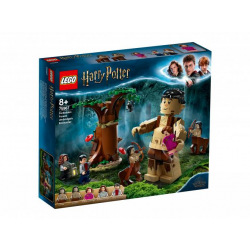 Конструктор LEGO Harry Potter Запретный лес: Встреча Амбридж (75967)