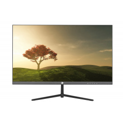 Монiтор LCD 23.8" 2E D2419B D-Sub, HDMI, Audio, ADS, 178/178, 75Hz, 1ms, FreeSync, Frameless (2E-D2419B-01.UA)