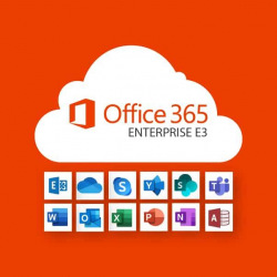 Программный продукт Microsoft Office 365 E3 (AAA-06227)