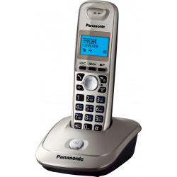 Радіотелефон DECT Panasonic KX-TG2511UAN Platinum (KX-TG2511UAN)