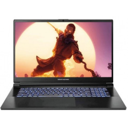 Ноутбук Dream Machines RG4050-17 17.3FHD IPS 144Hz/Intel i7-13700H/32/1024F/NVD4050-6/DOS (RG4050-17UA27)