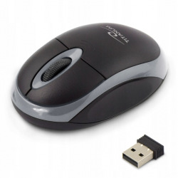 Мишка бездротова Titanum Mouse TM116E Black-Gre (TM116E)