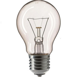 Лампа розжарювання Philips Stan 75W E27 230V A55 CL 1CT/12X10F (926000004004)