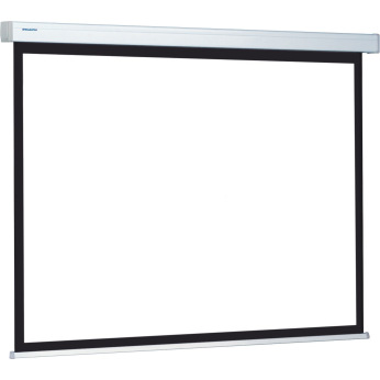 Экран Projecta ProScreen CSR 154x240 см, MW (10200236)