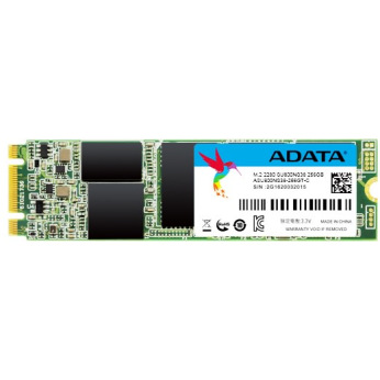 Твердотільний накопичувач SSD M.2 ADATA 256GB SU800 SATA TLC (ASU800NS38-256GT-C)